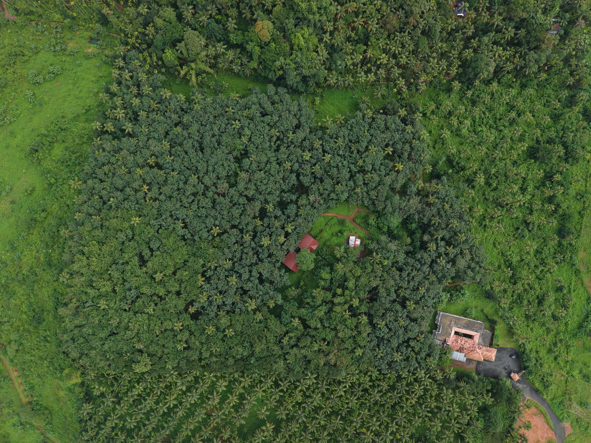 Aerial view of the campus grounds
